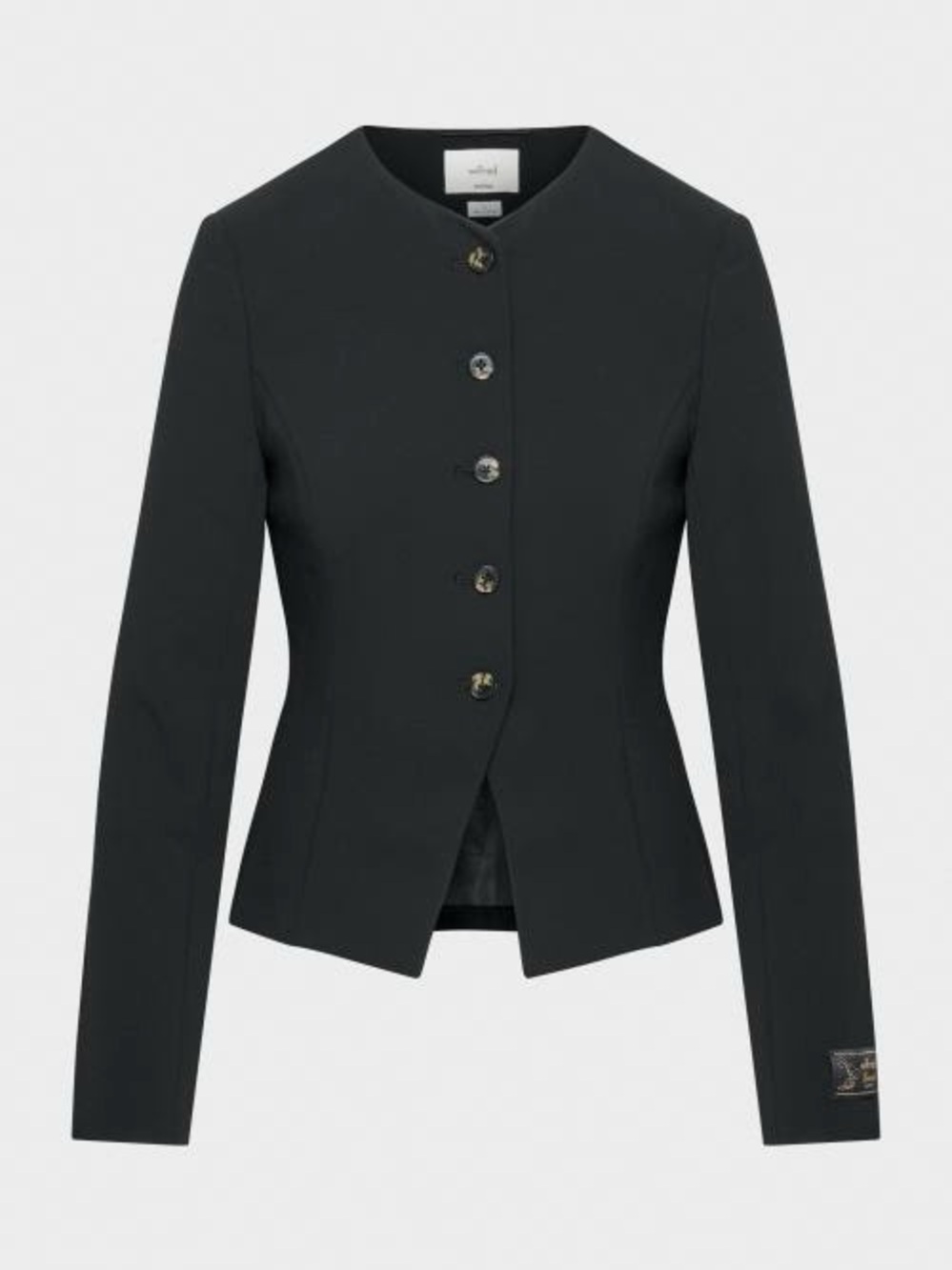 Aritzia Wilfred Regal Blazer